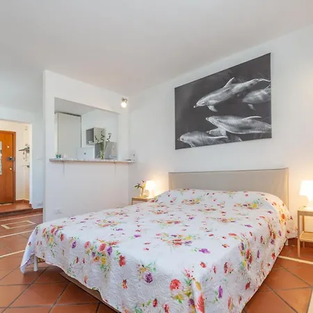 Apartment Casa Pizzi *